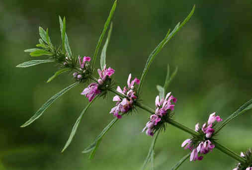 ������ĸ�ݵ�ע������