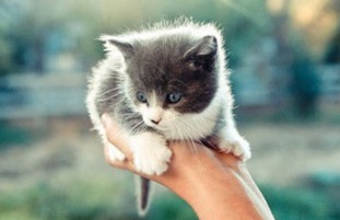 ������İİ���֣������r���������