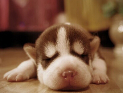 ����İİ��������2