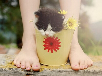 İİ��������������İİ���ִ�ȫ