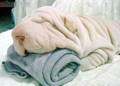 2016�ĸ�������