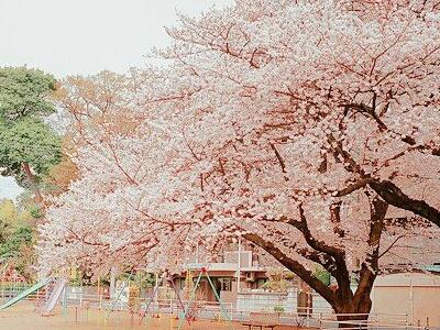 �ȽϺ����ĳ�����