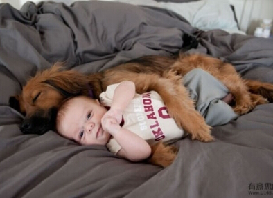 ���Ե�����������